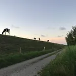 Nyaraló Funnenser Deichhaus Schillig