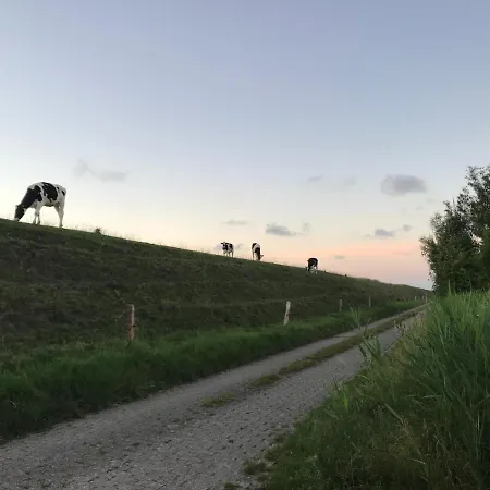 Funnenser Deichhaus Ferienhaus *