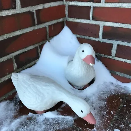 Funnenser Deichhaus Schillig