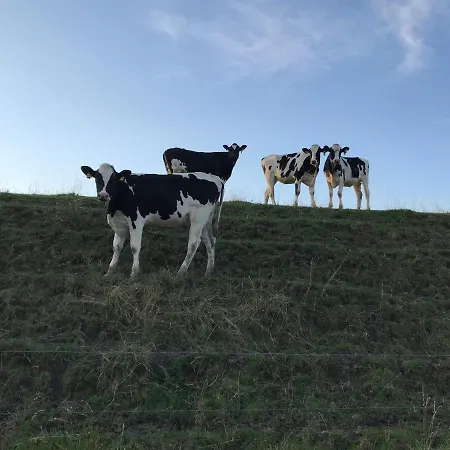 Ferienhaus Funnenser Deichhaus *
