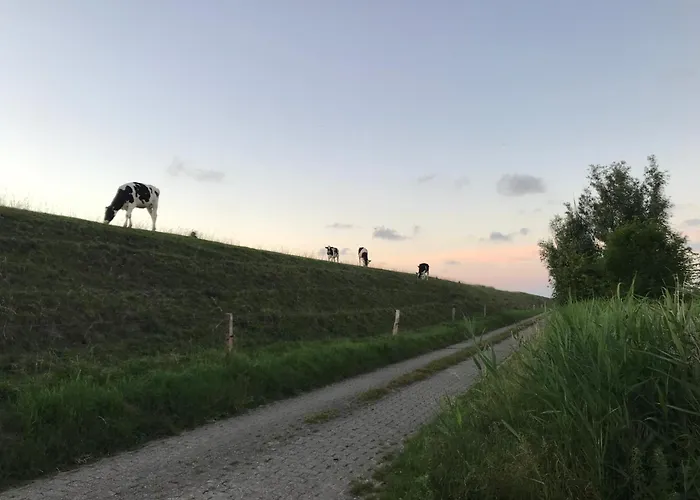 Casa de Férias Funnenser Deichhaus Schillig